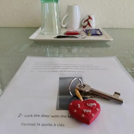 Jolie Chambre Dans Un Genève